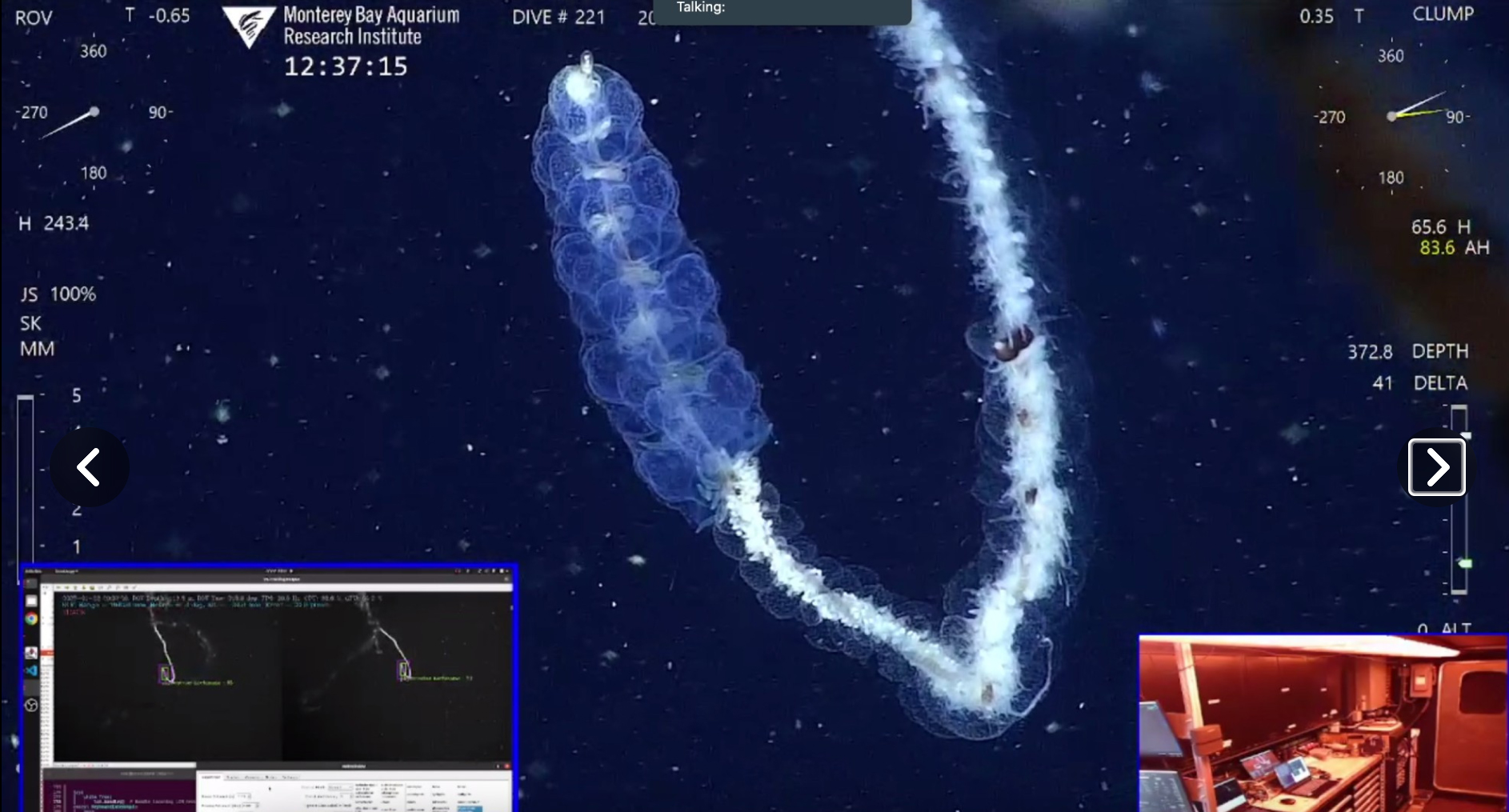 Deep-sea imaging system capturing siphonophore organisms