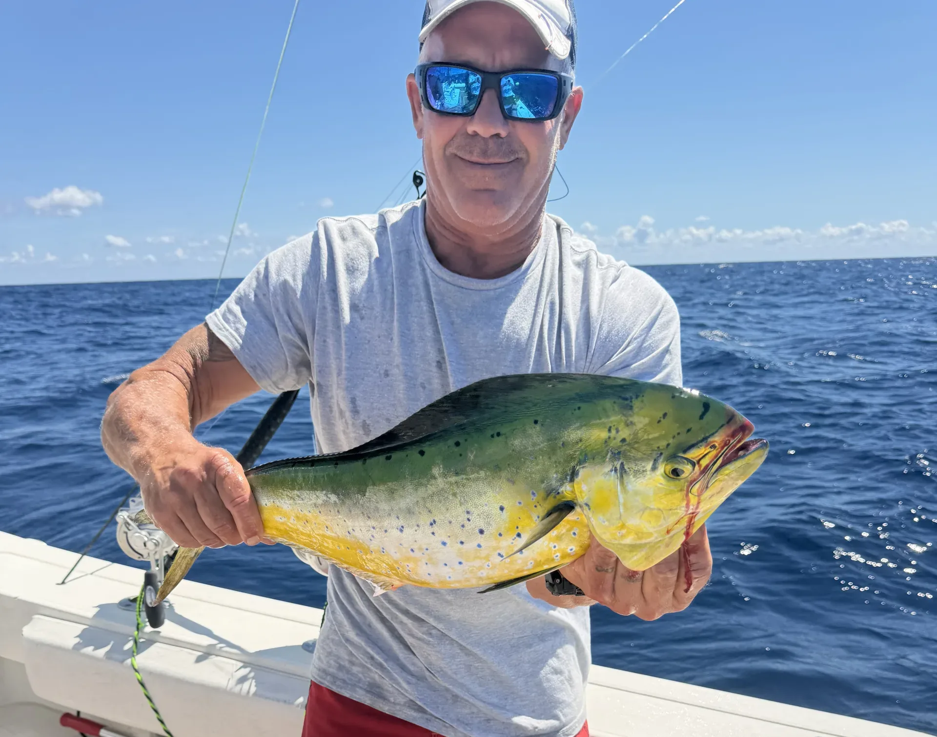 Freshly caught mahi-mahi