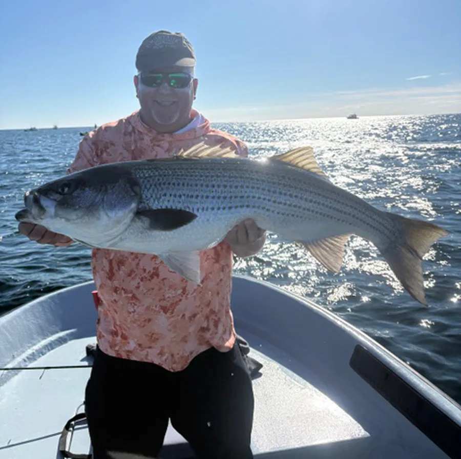 Striped bass caught by Diamond Pass Charters