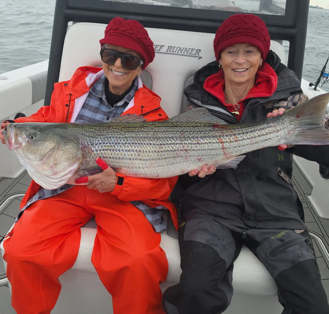 Striped bass caught during fall migration