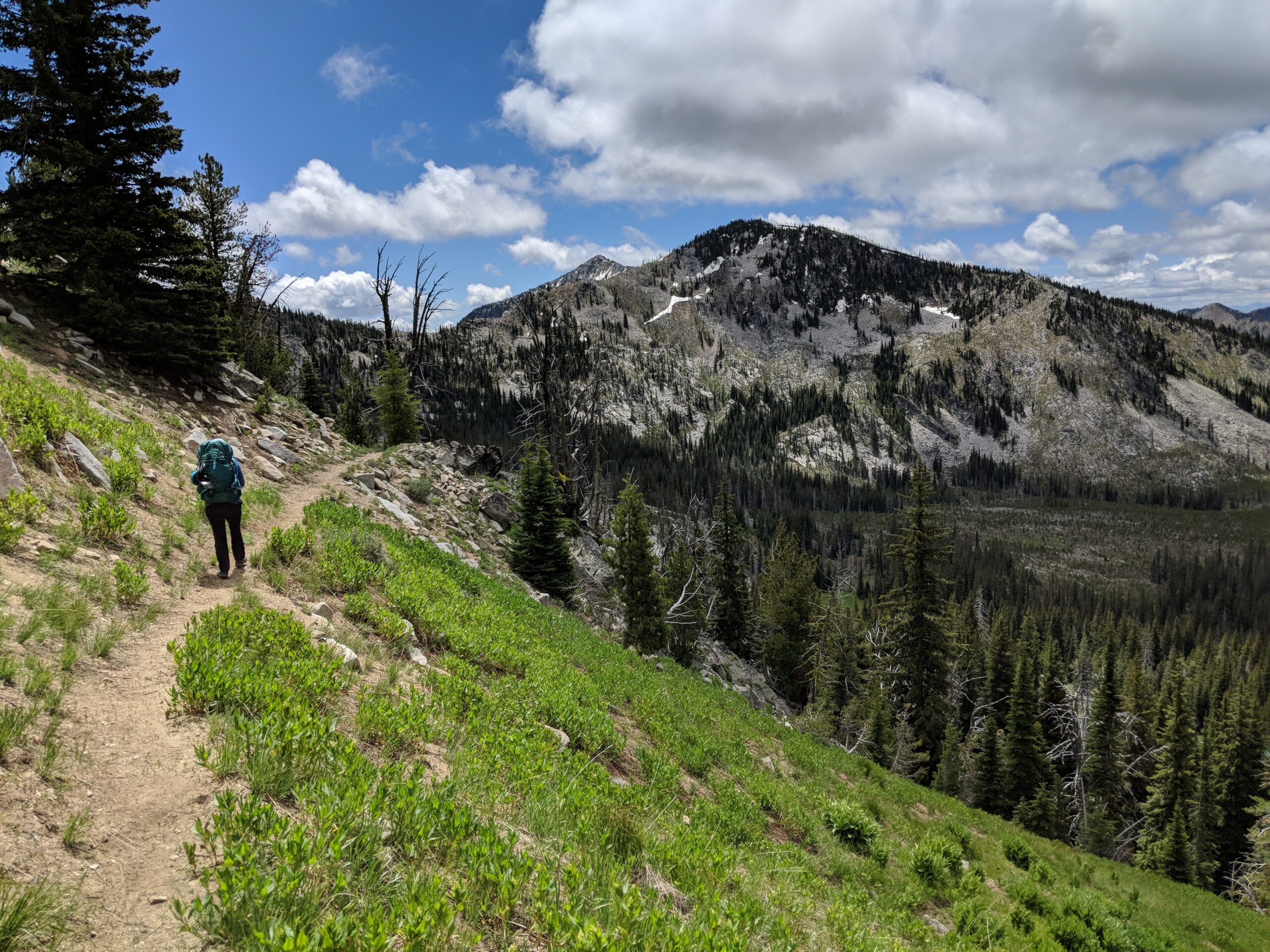Elkhorn Crest landscape in Oregon showing pristine wilderness at risk