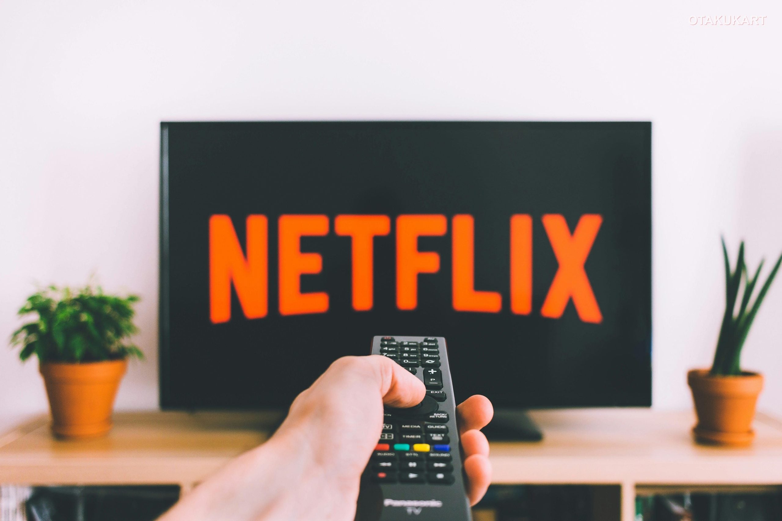 Netflix growth projection showing subscriber trajectory through 2031