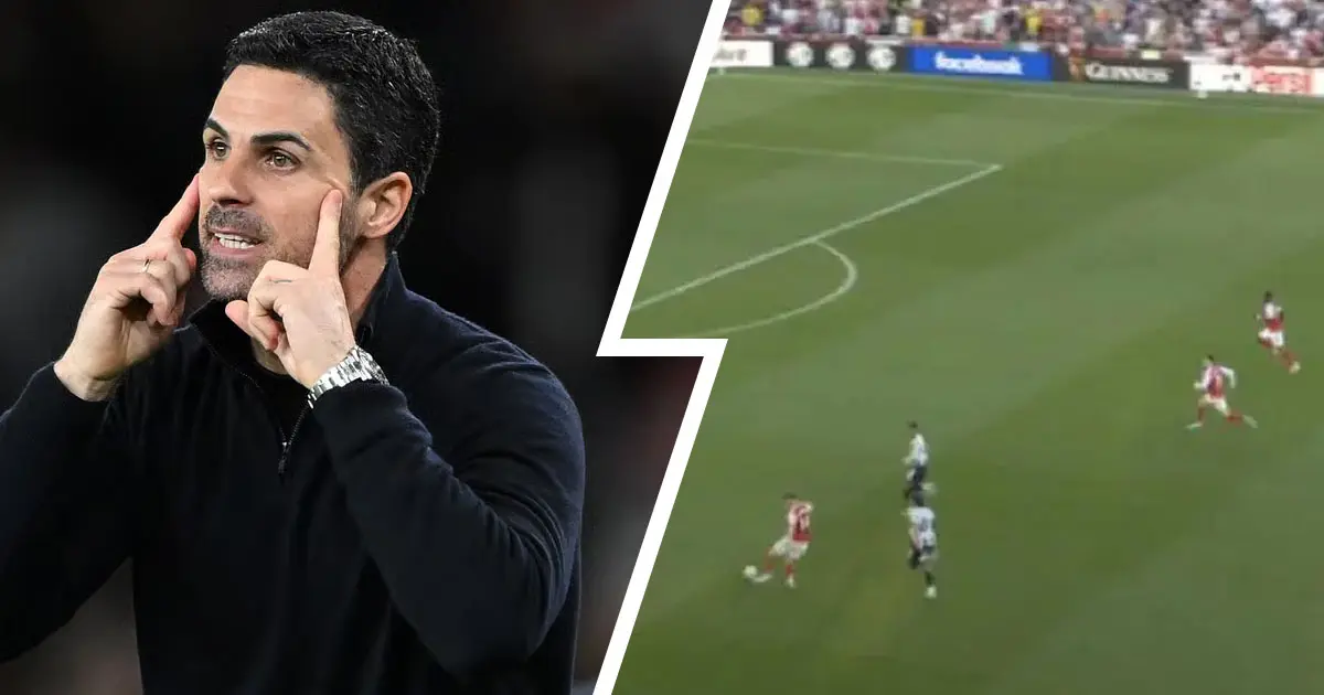 Arsenal vs Newcastle fan reactions