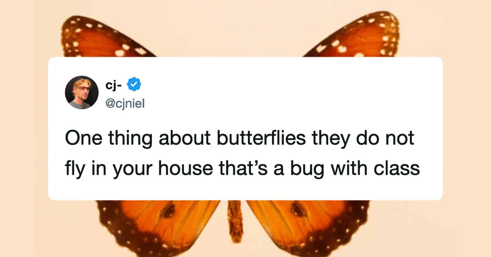 Weekly funny tweets roundup thumbnail