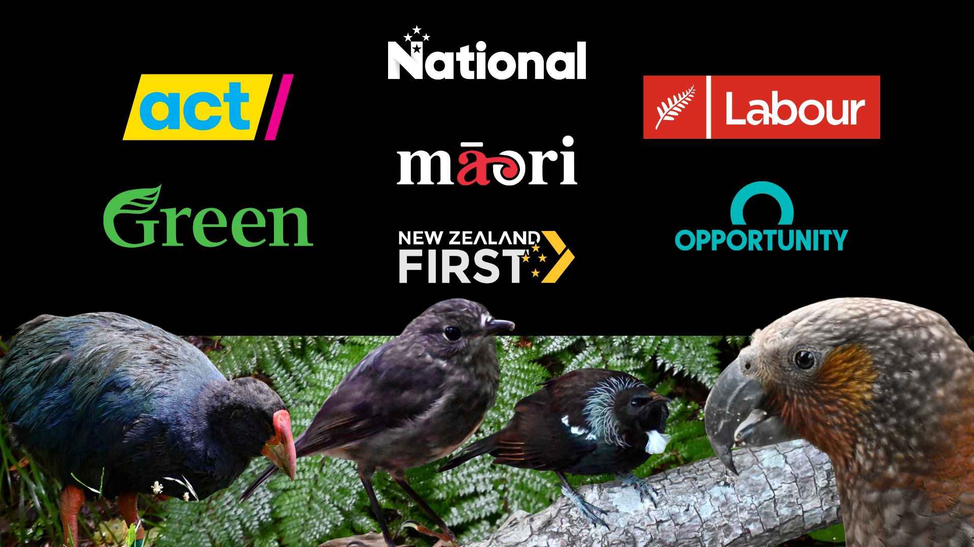 Political parties' stances on Predator Free 2050