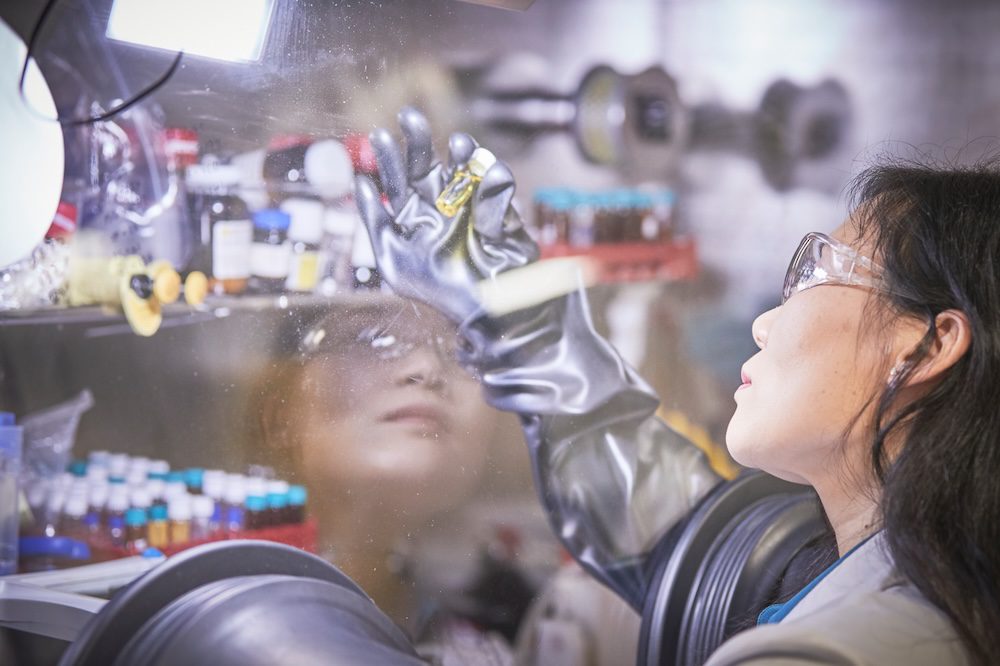 UNSW perovskite research team