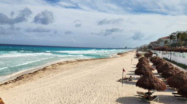 Reduced sargassum arrivals on Cancún beaches