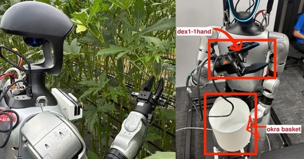 Unitree G1 and ugo Nova semi-humanoid robots operating in real-world field conditions