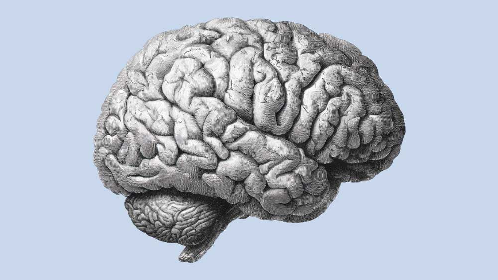Brain illustration related to fMRI data misuse case