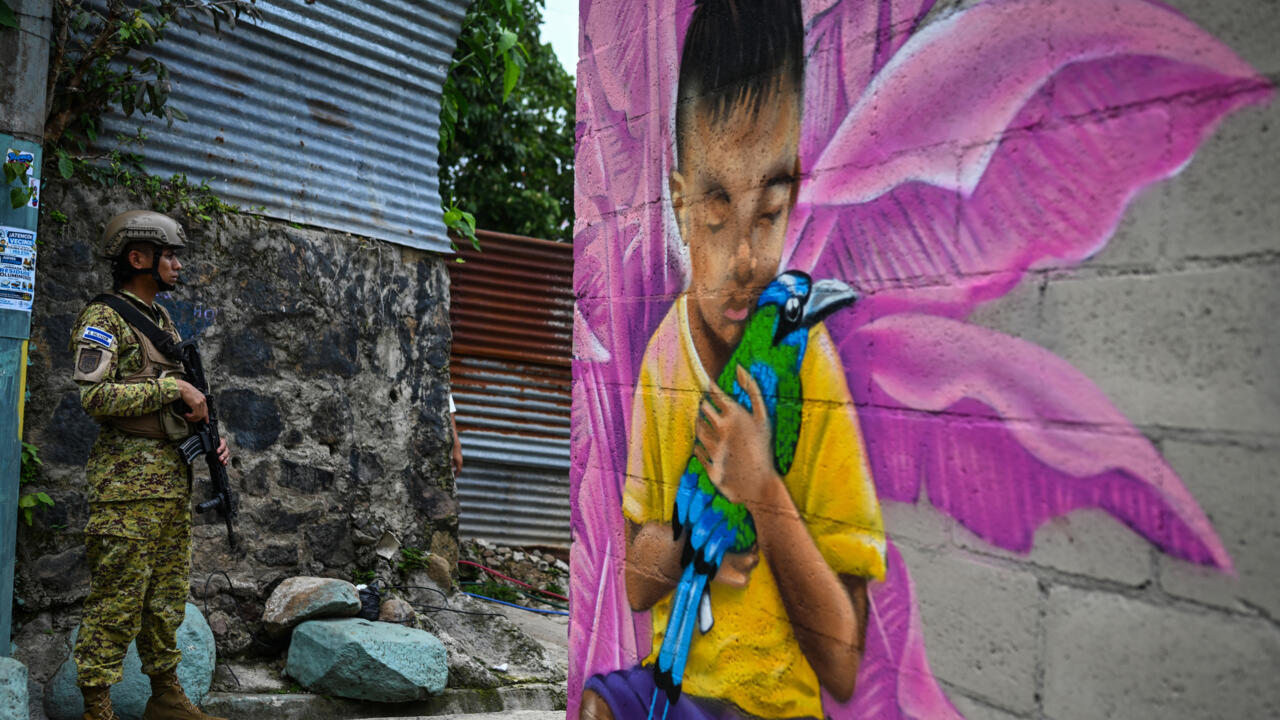 Mural of birds and flowers replacing gang graffiti in El Salvador