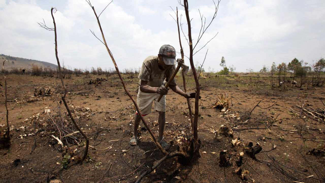 Fire crews and authorities respond amid Madagascar's wildfire crisis (RFI)