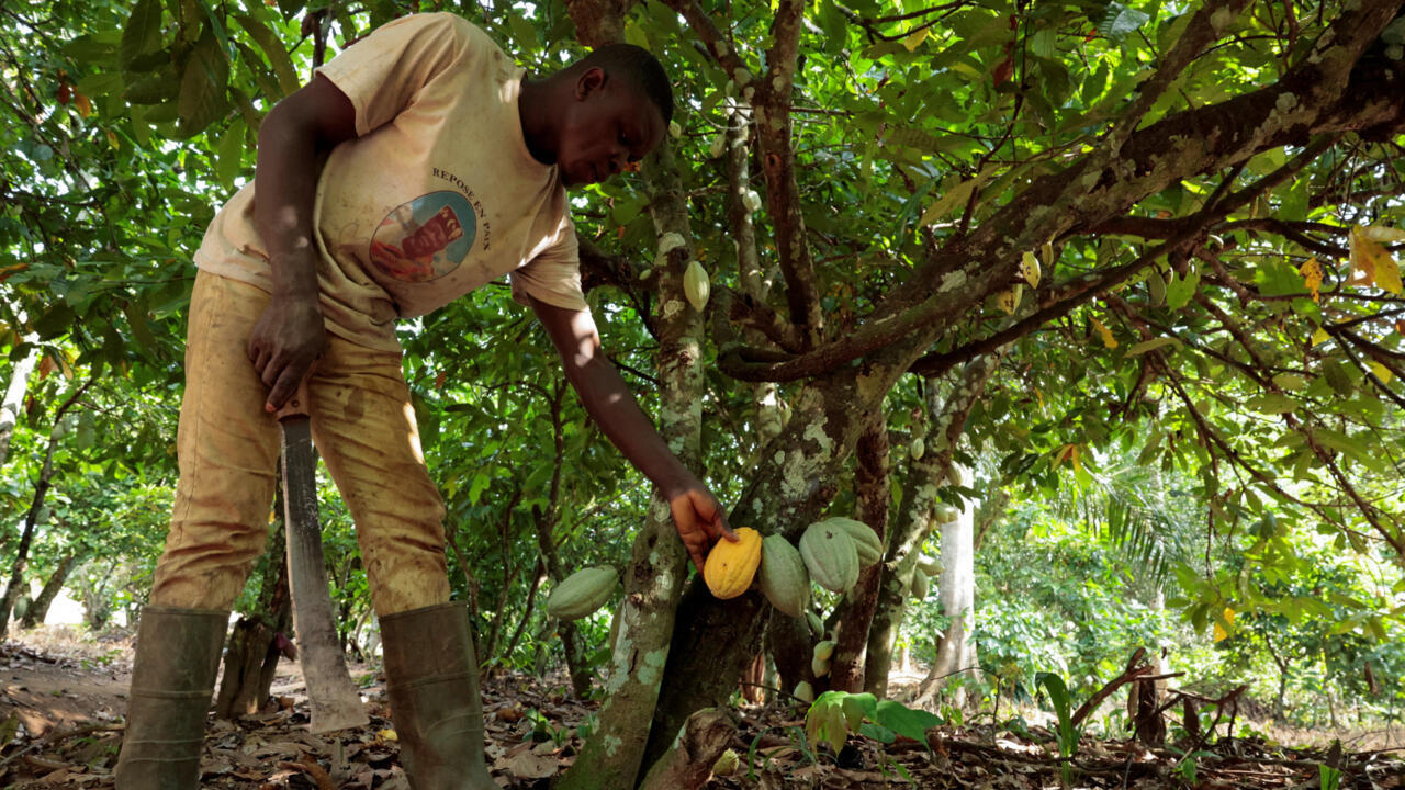 Minister Bruno Nabagné Koné announcing the cocoa price in Abidjan