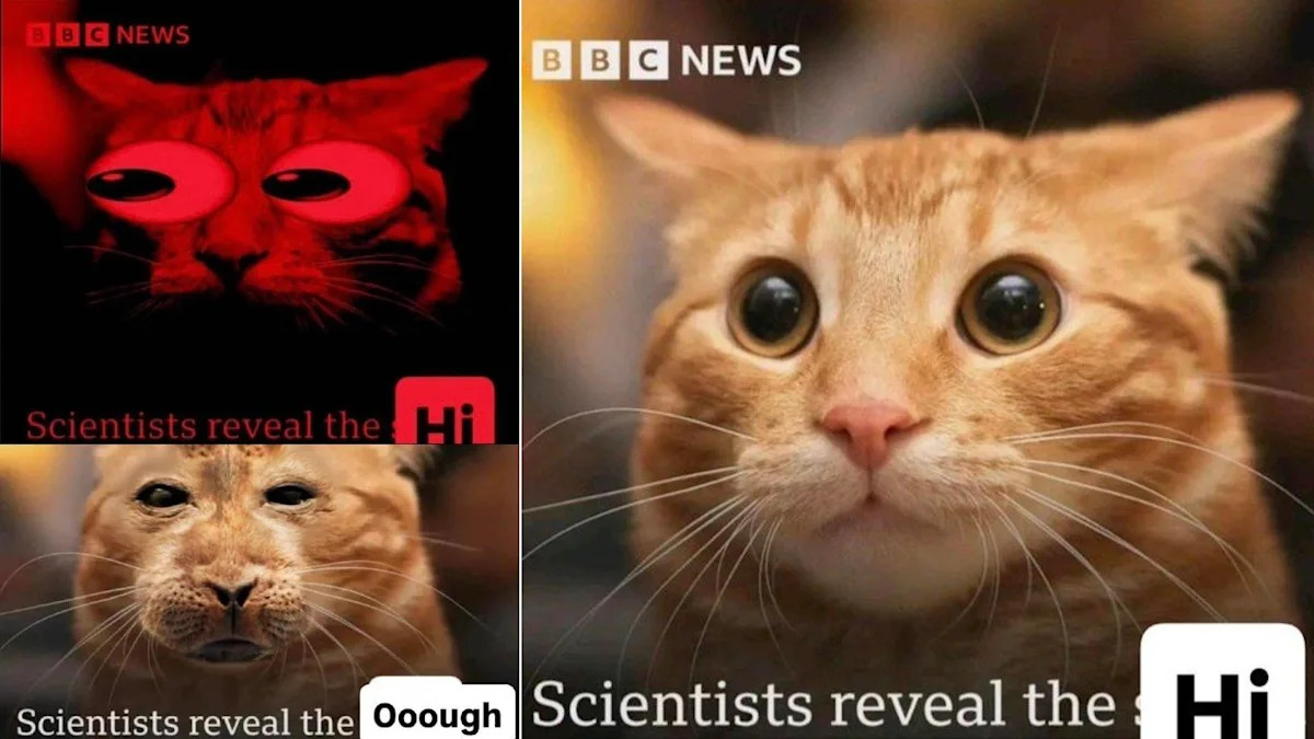 Meme image featuring a cat and a scientist