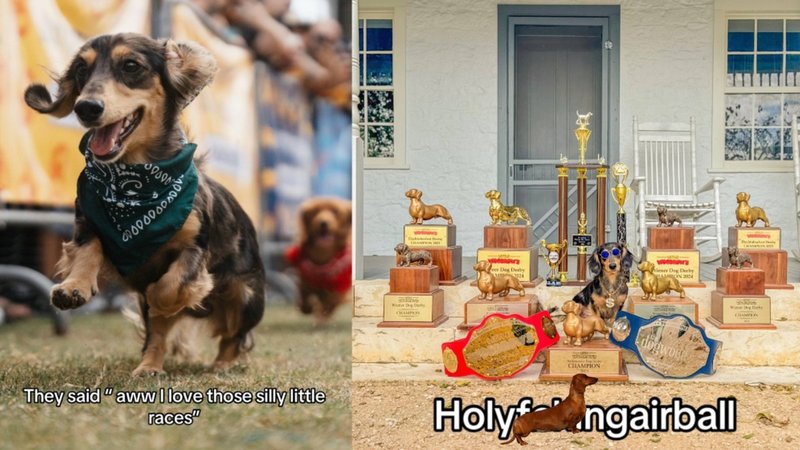 Screenshot from Know Your Meme's "Holy Airball" explainer showing the viral meme trend