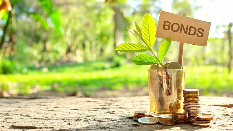 World Bank issues new $4bn sustainable development bond