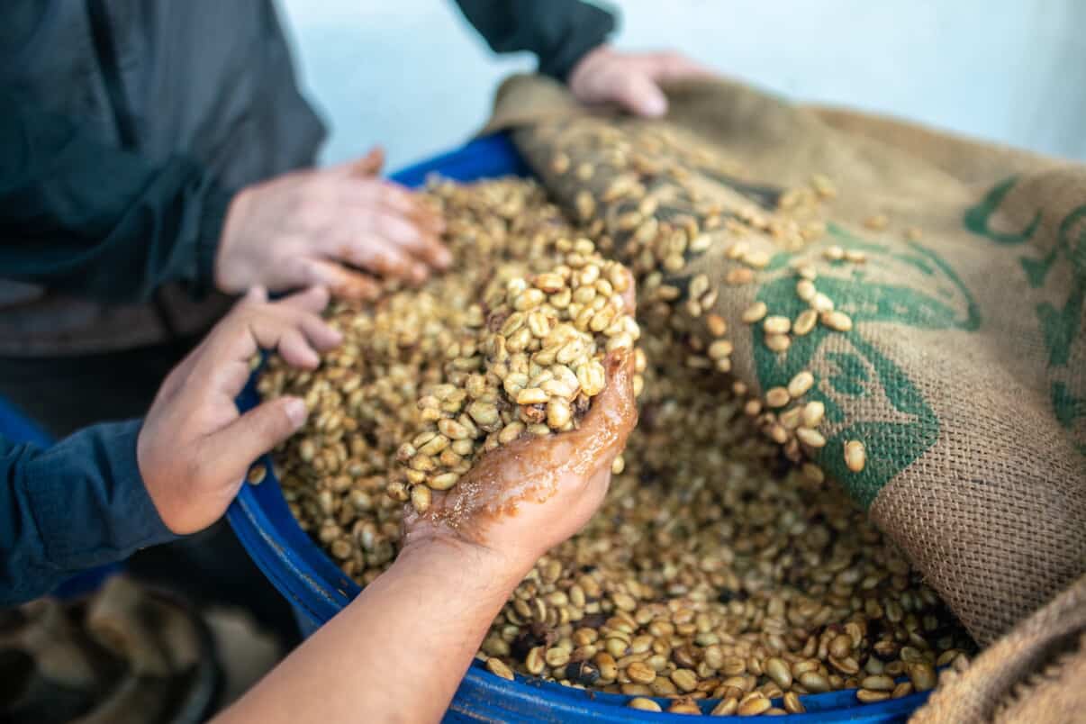 A specialty coffee roaster in the Coachella Valley setting — Desert Kid Coffee brings destination café culture to the California desert.