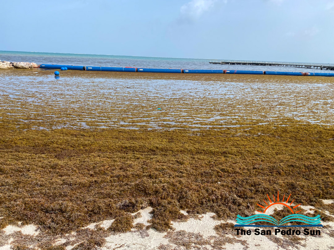 News article header about Belize seeking World Bank funding