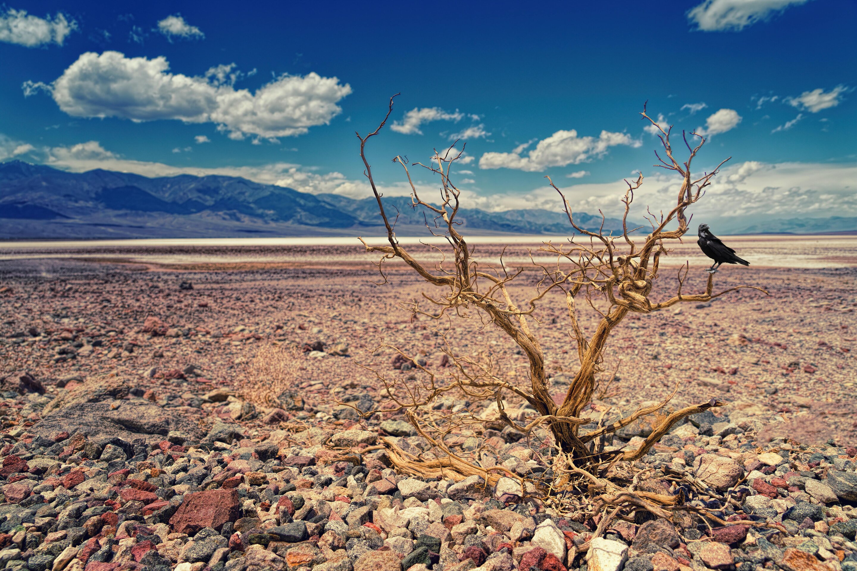 Drought conditions illustrate why scientists are pushing for more comprehensive modeling of climate and biodiversity crises