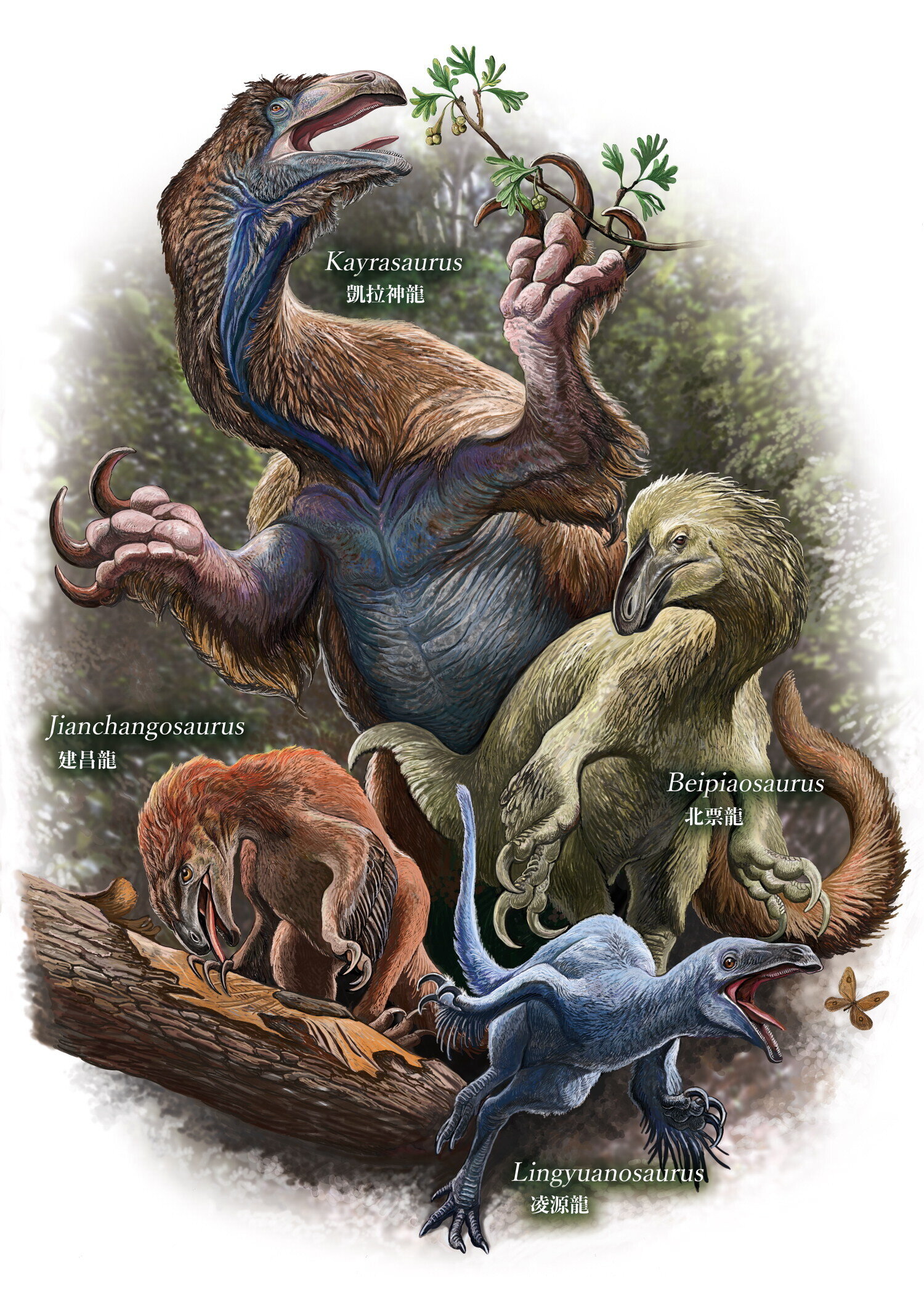 Reconstruction of a new Chinese therizinosaur with giant claws