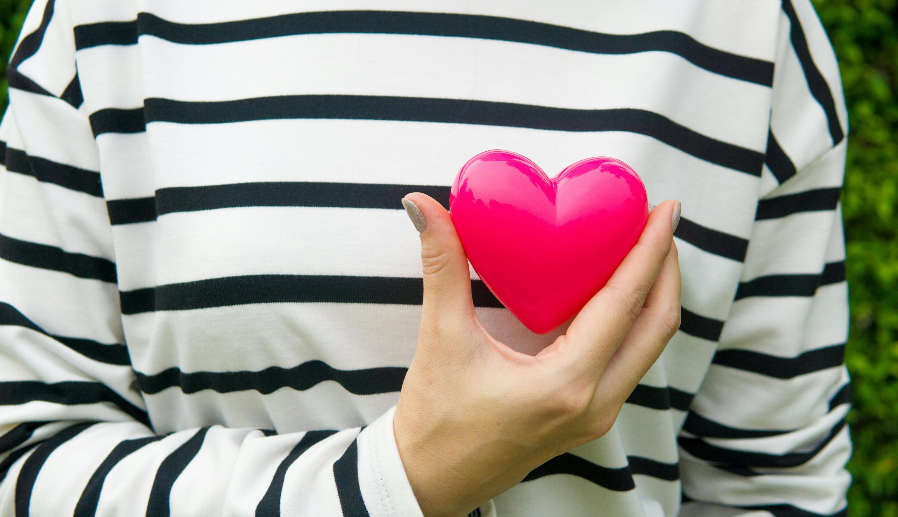 A close-up of a heart in a hand, illustrating the cardiovascular risks associated with menopause transition