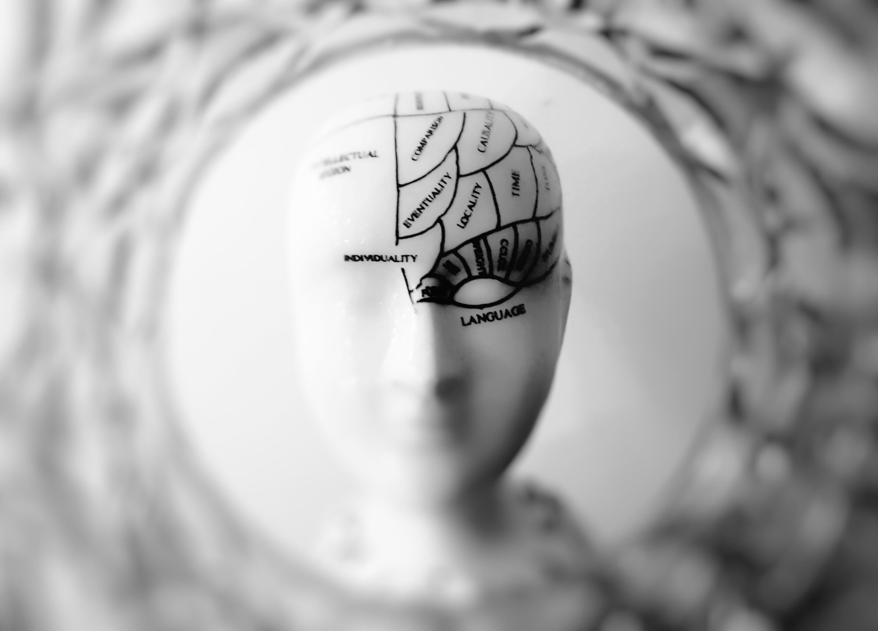 Color-enhanced MRI scan of the human brain