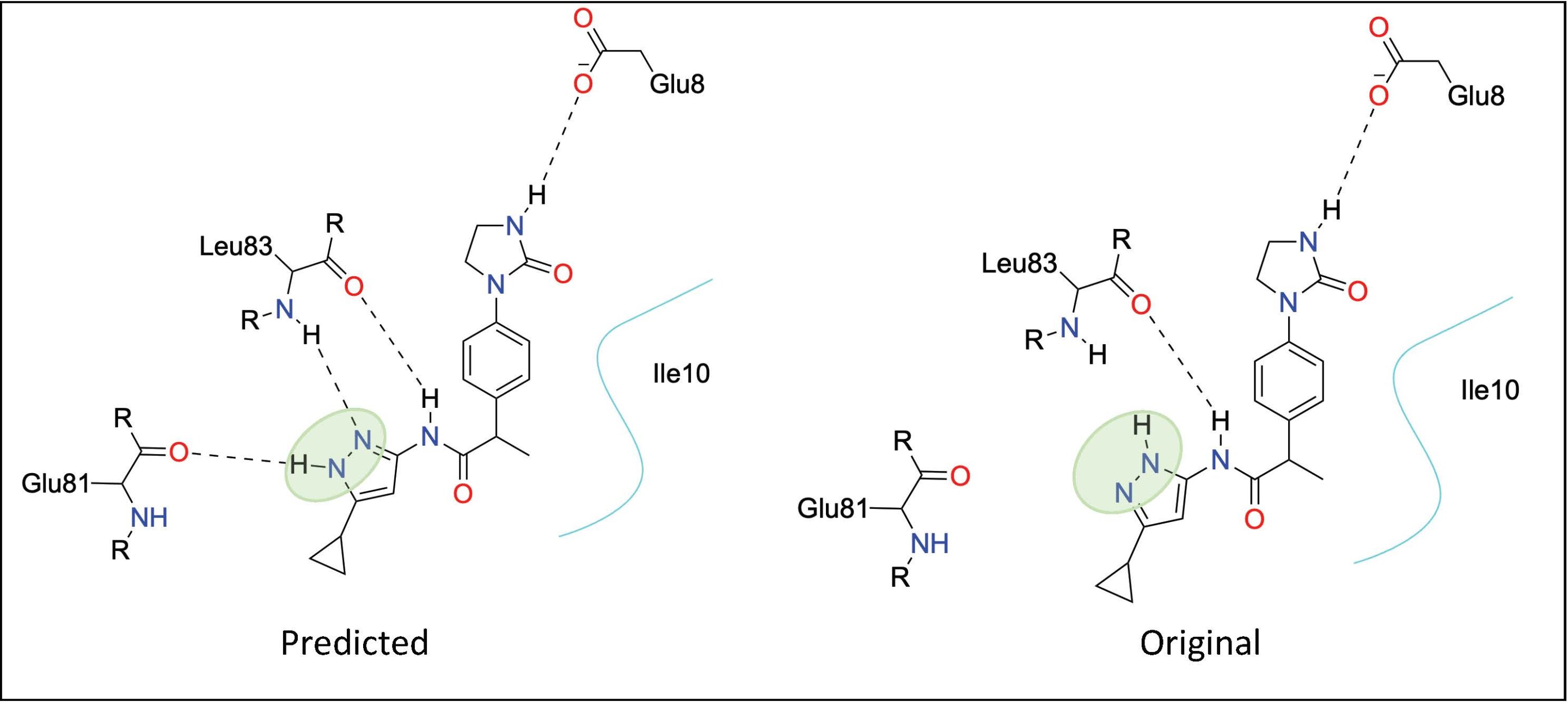 NYU AI predicting hydrogen positions across millions of drug-like molecules