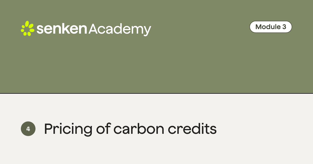 Infographic detailing carbon credit price ranges by methodology
