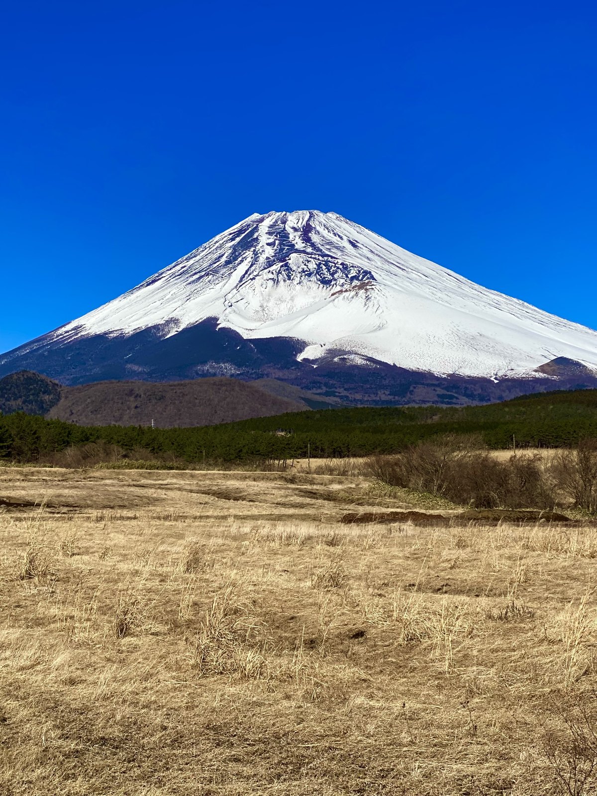 Mount Fuji in autumn with grasslands