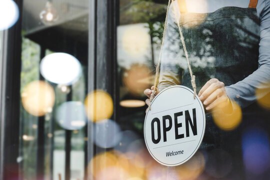 New business registrations in Albania