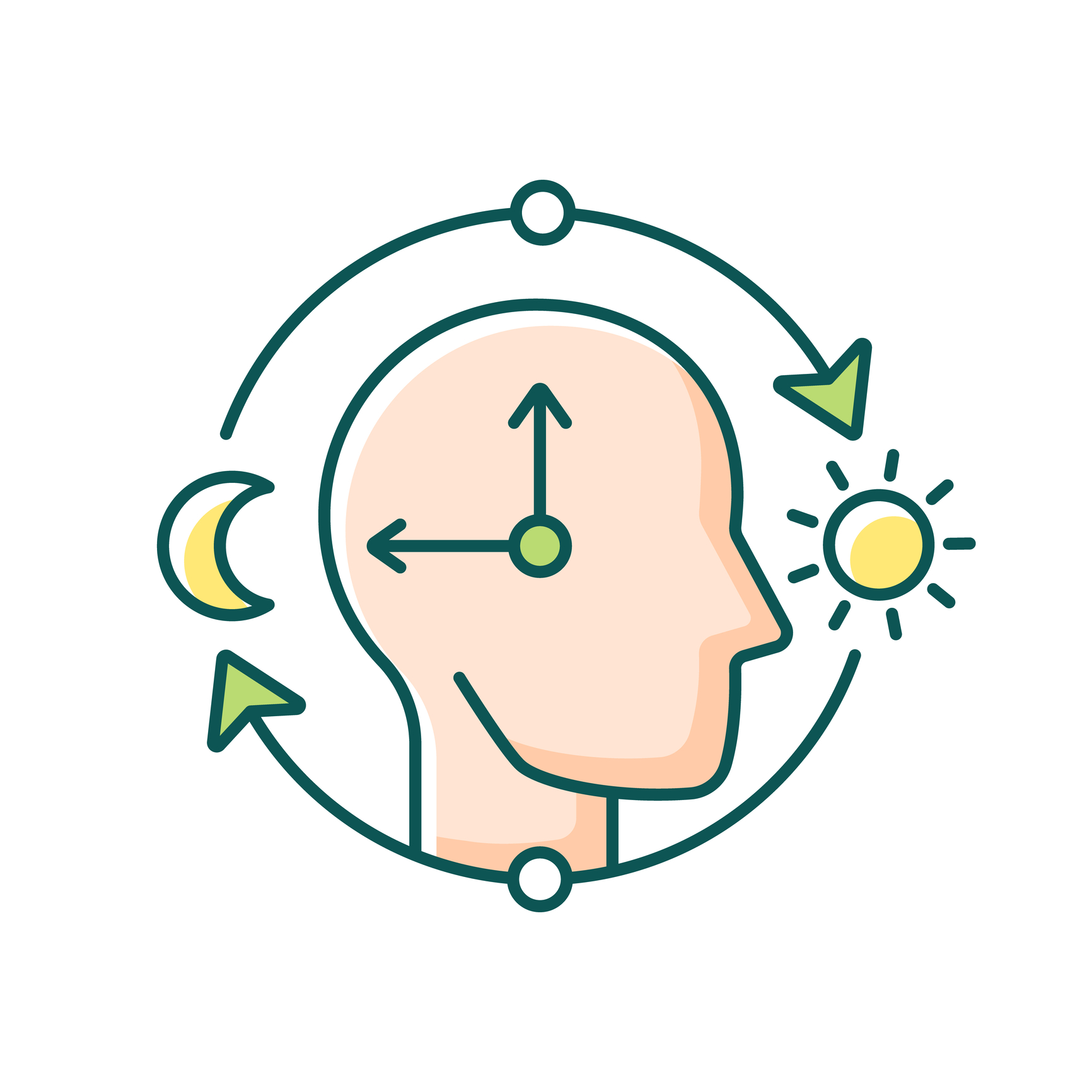 Engineered cell therapy for circadian adjustment