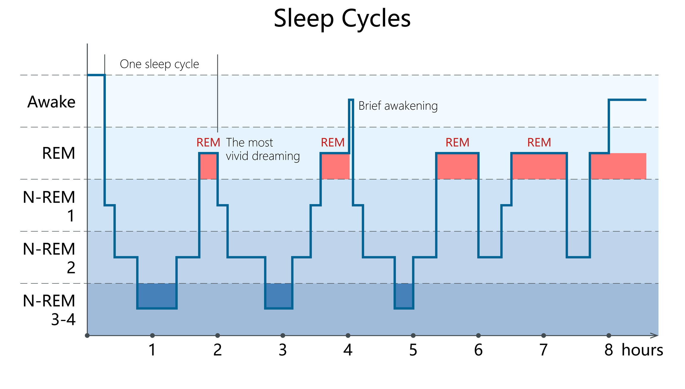Non-REM sleep illustration