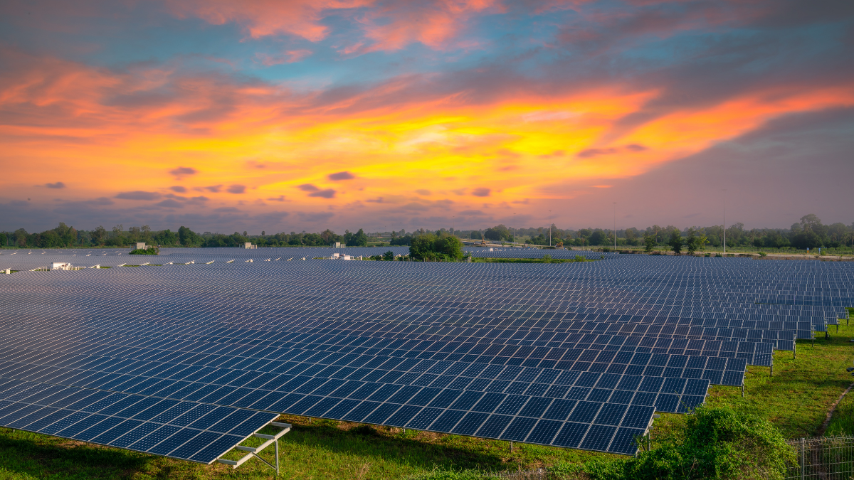 NTPC REL Andhra Pradesh Solar BOS Project Tender