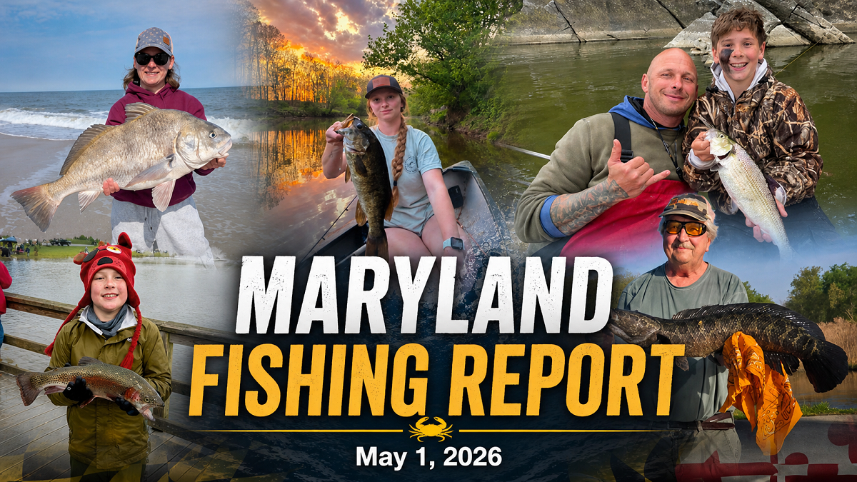 Maryland Fishing Report May 1, 2026 from Southern Maryland Chronicle