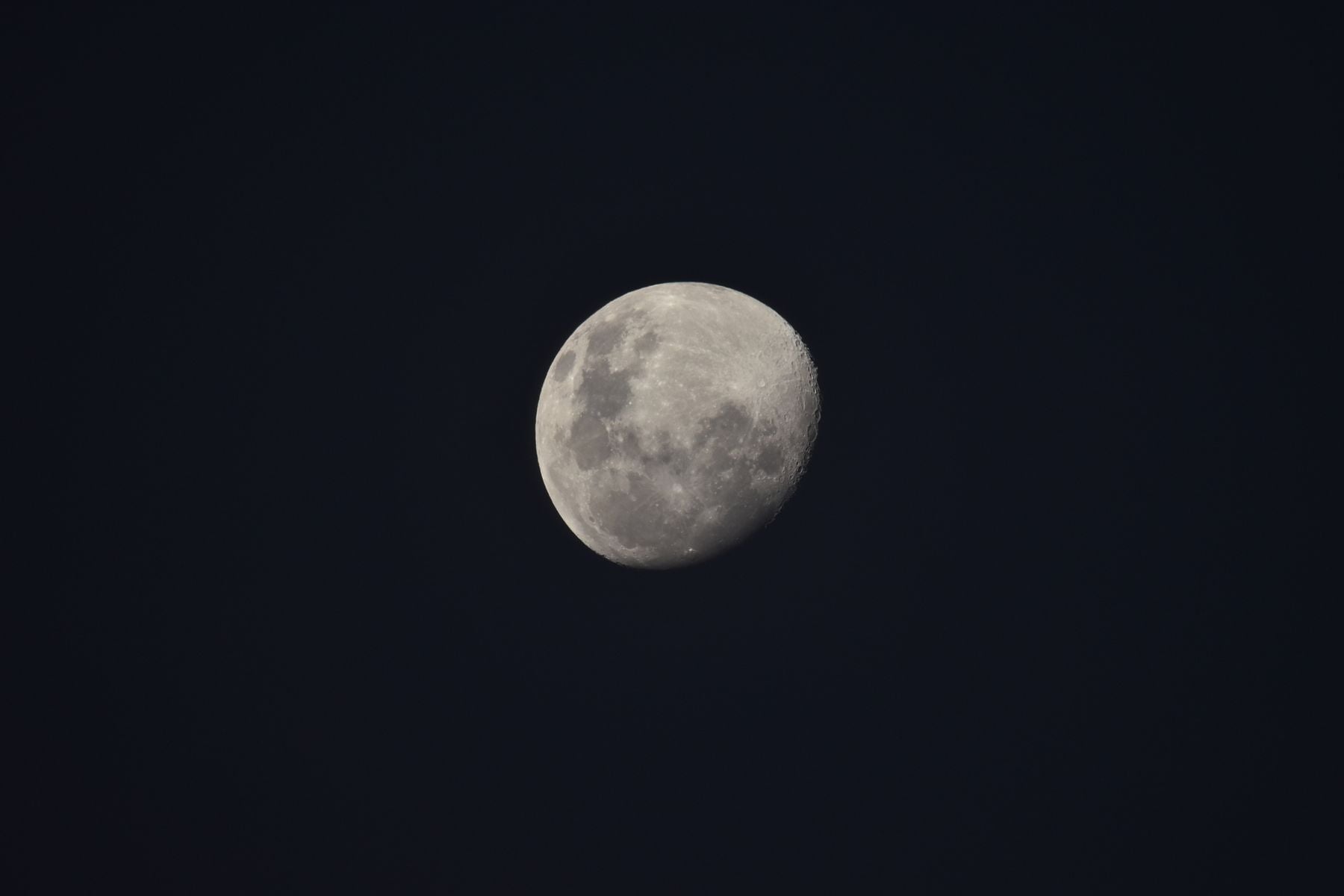 Blue Ghost lander on lunar surface