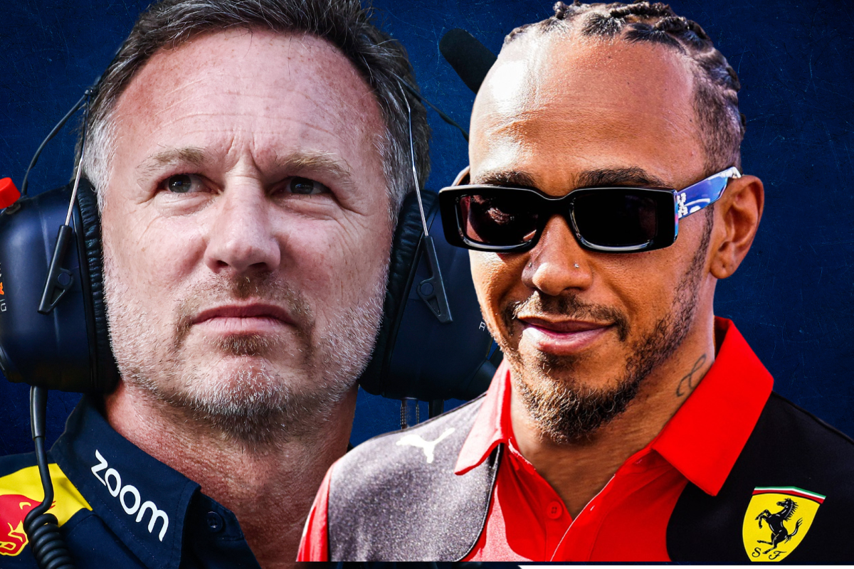 Christian Horner and Lewis Hamilton