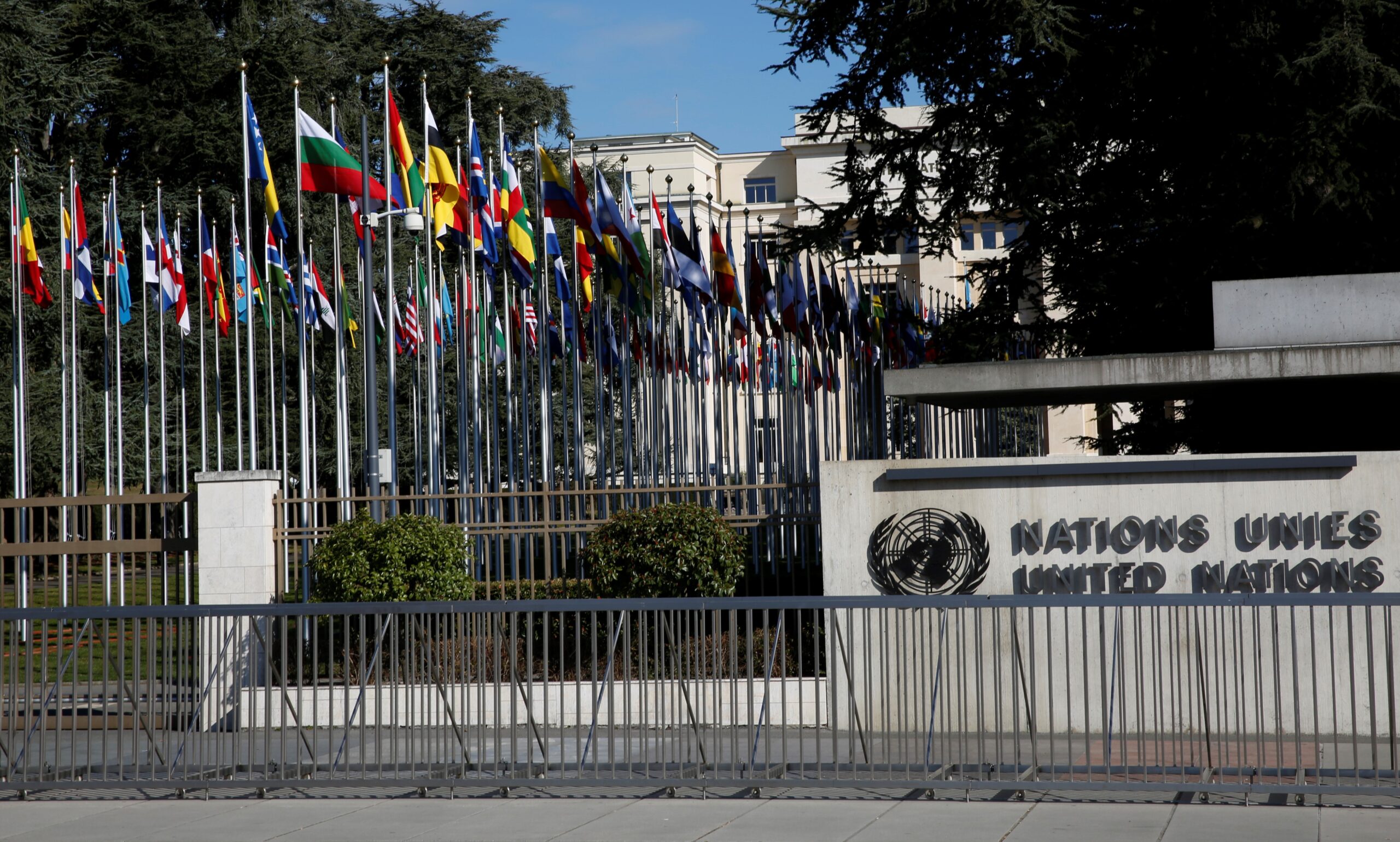 UN Human Rights Report