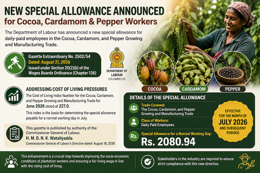 Image related to plantation wages