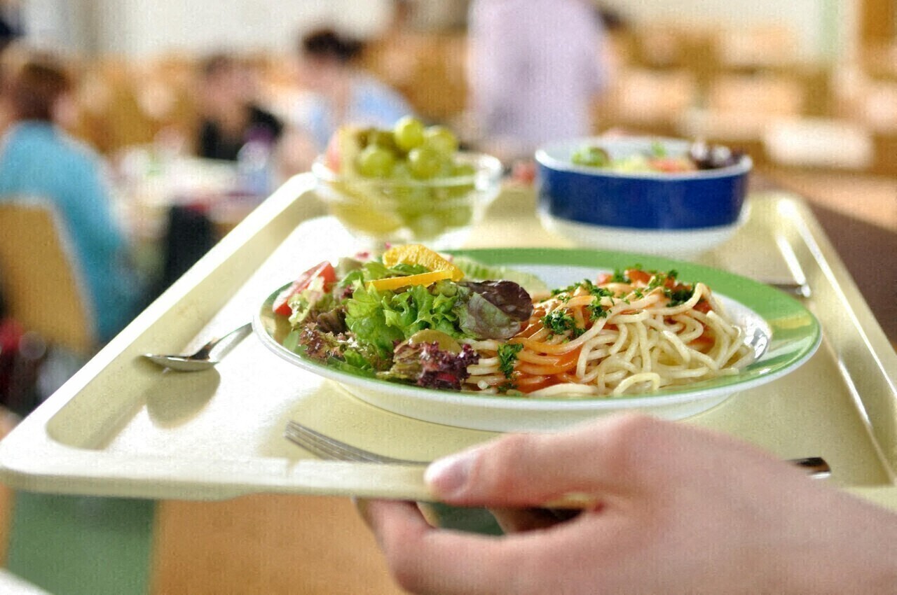 French school canteen organic food