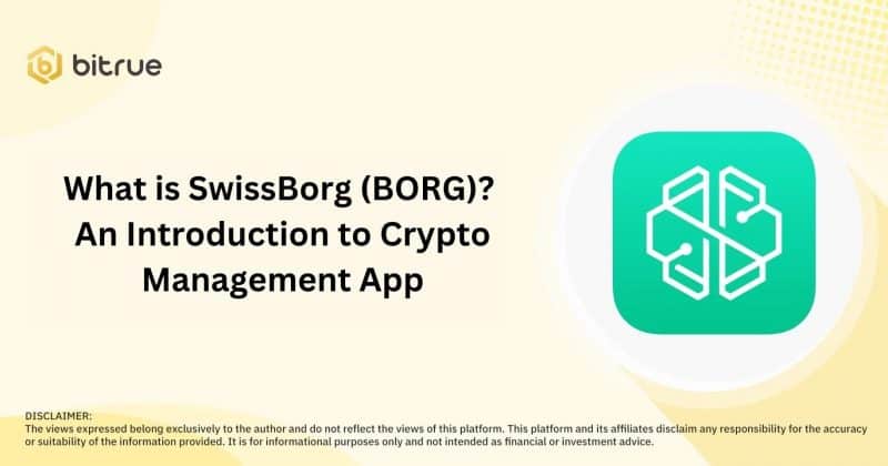 SwissBorg DAO voting system illustration