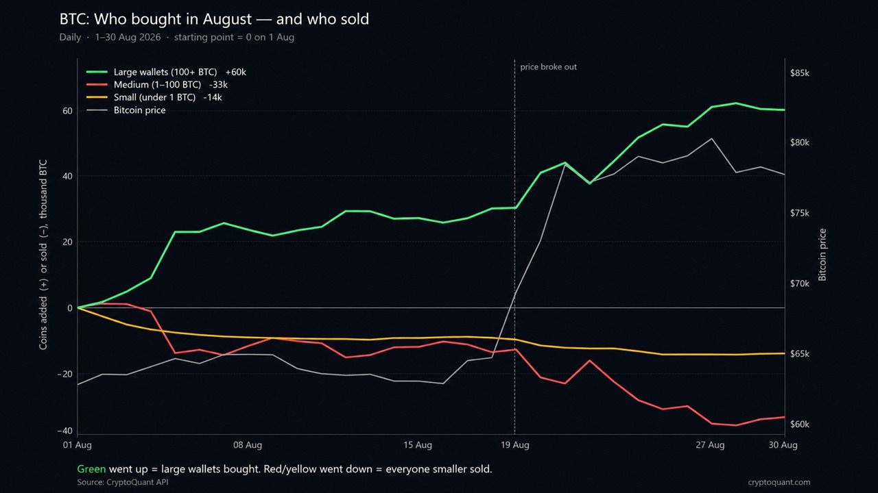 Whales added 60,000 Bitcoin in August while retail sold