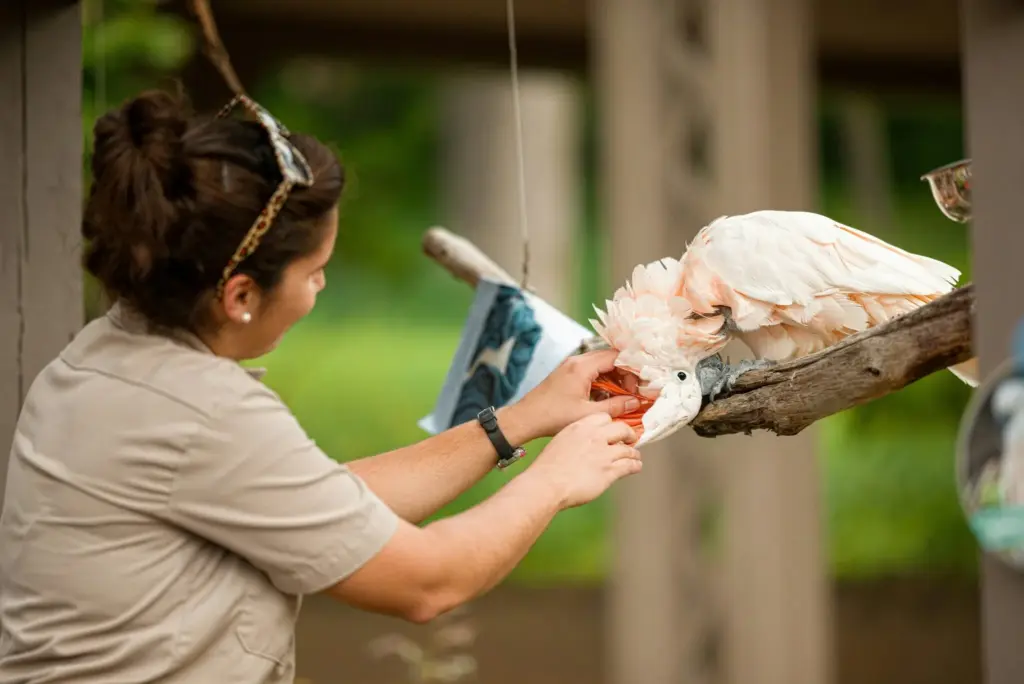 Spain's new positive list will ban most exotic pets not explicitly approved
