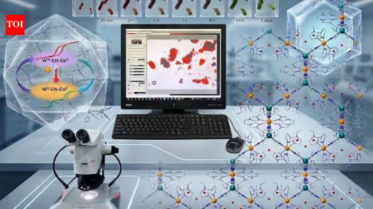 Smart magnetic molecules under varied stimuli conditions