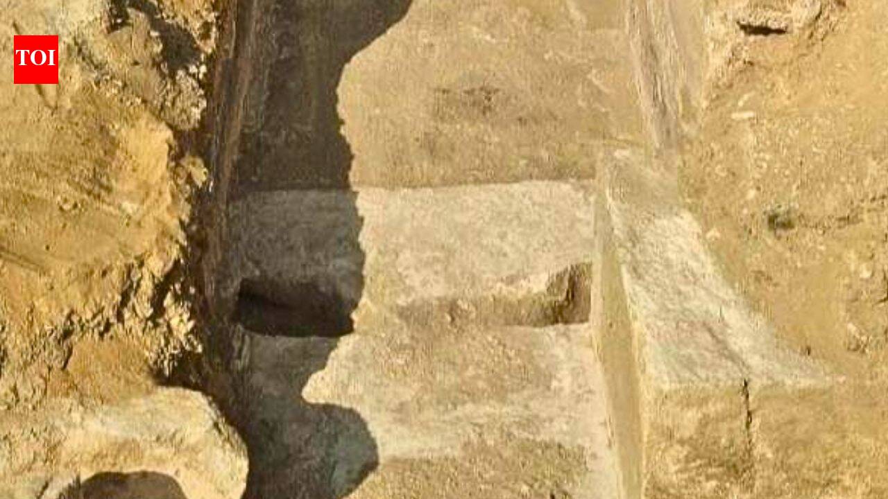 Saqqara excavation site