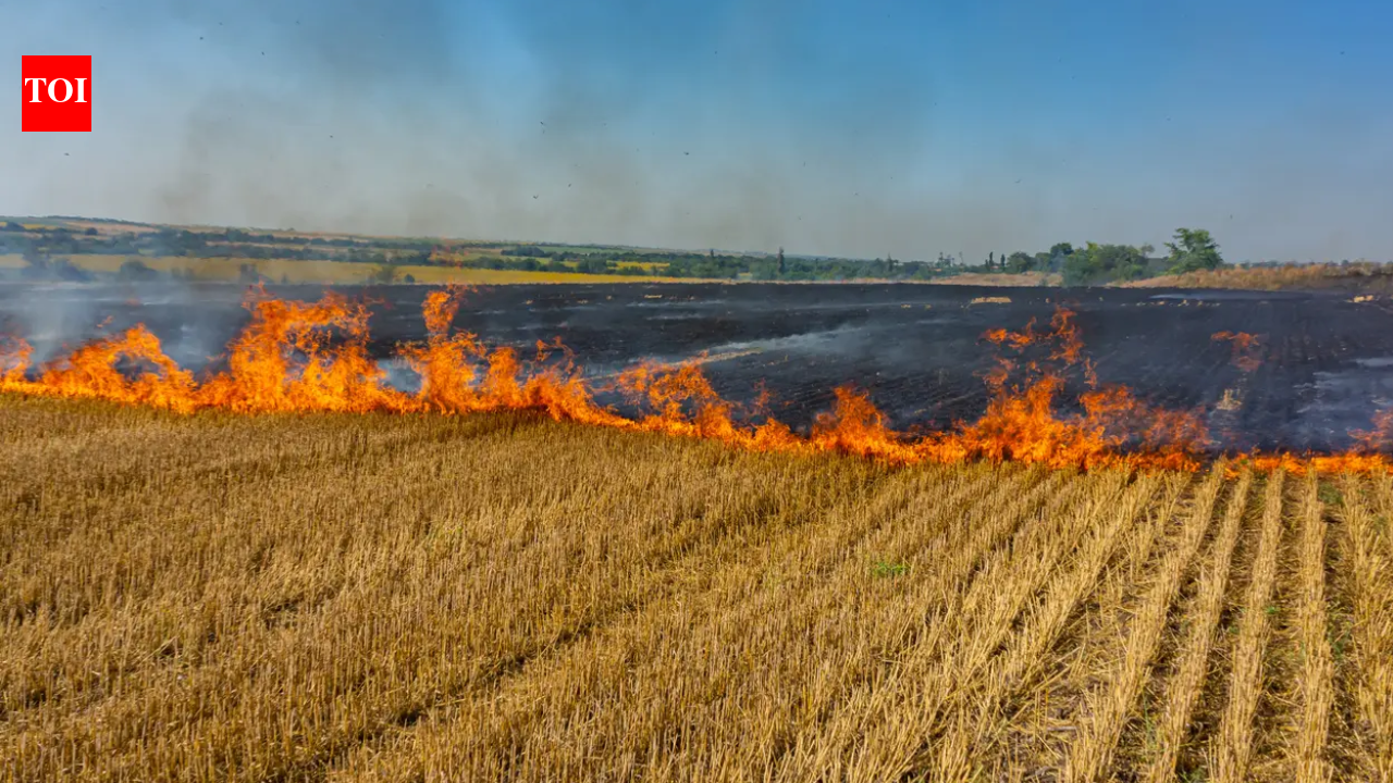 TOI report on early farm fires and Super El Niño risk
