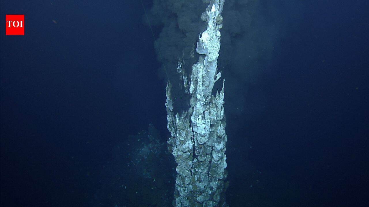 Collapsed and regrowing hydrothermal vent chimney