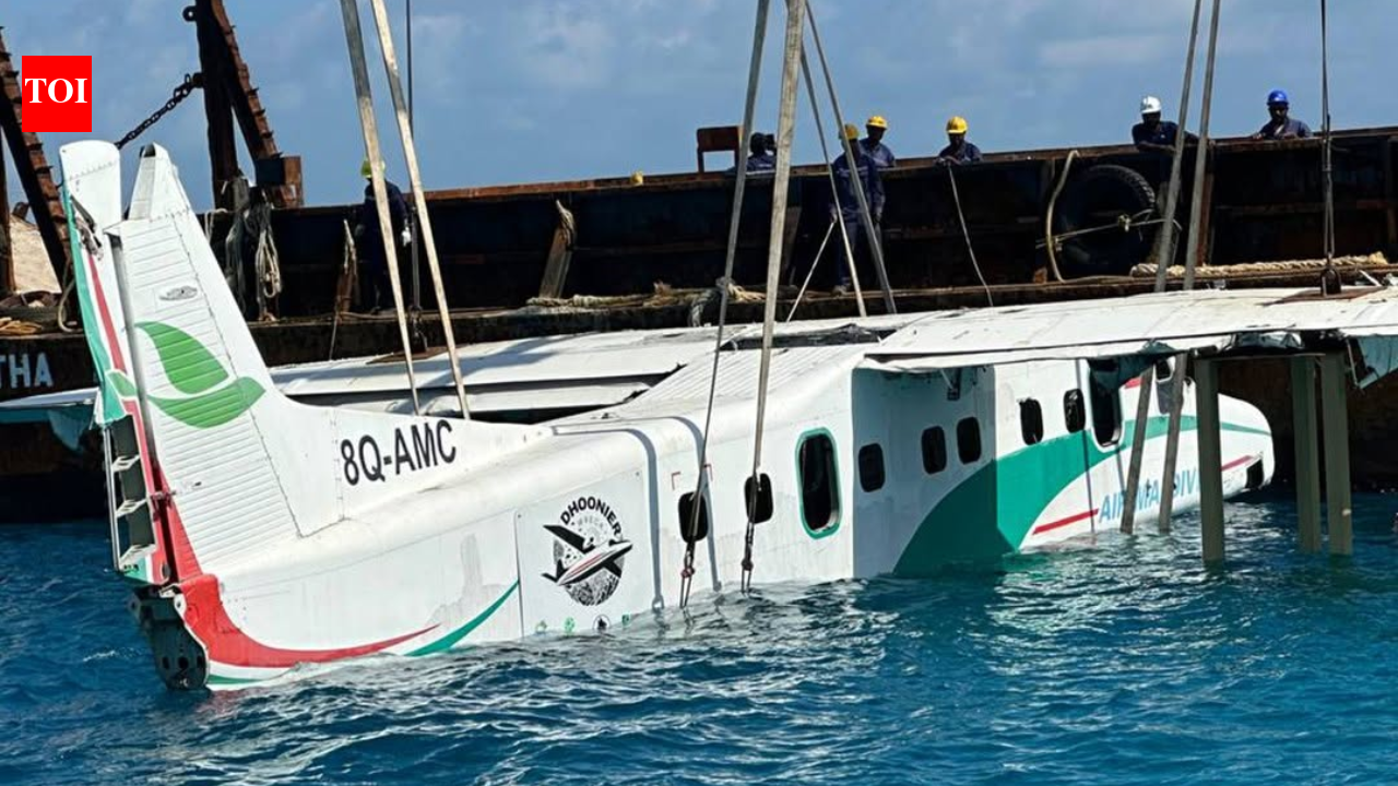 Retired aircraft underwater in Maldives being used for coral restoration