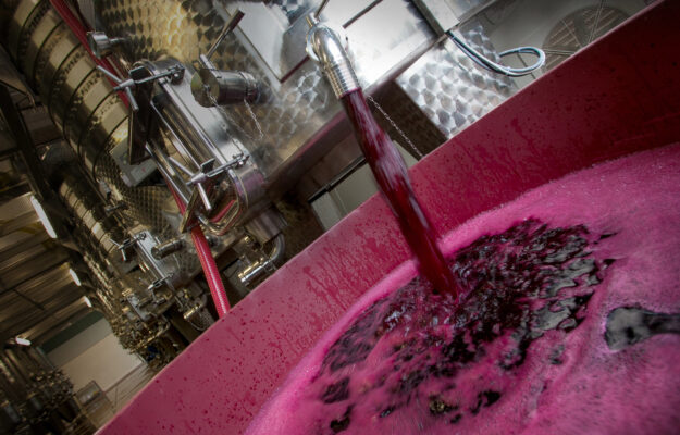 Italian wine cellar stocks
