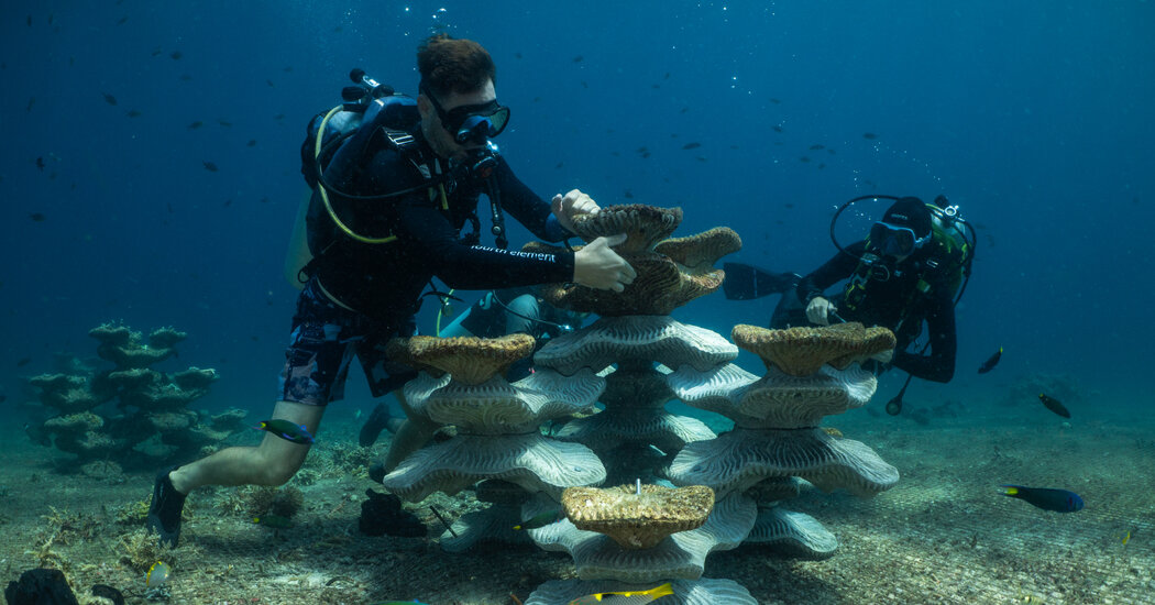 Concrete molds being deployed to create artificial reef structures in the coral-depleted waters of the Coral Triangle, Malaysia
