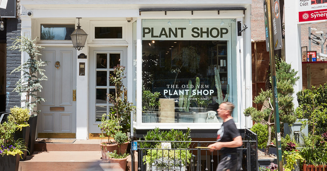 Manhattan Plant Shop Owner