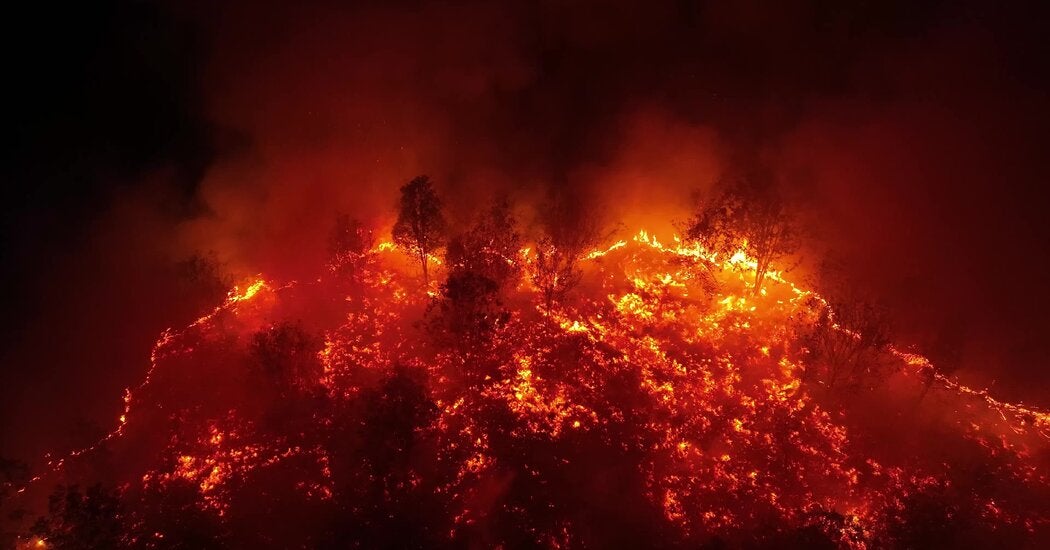 Kabut asap kebakaran hutan menutupi wilayah Kalimantan
